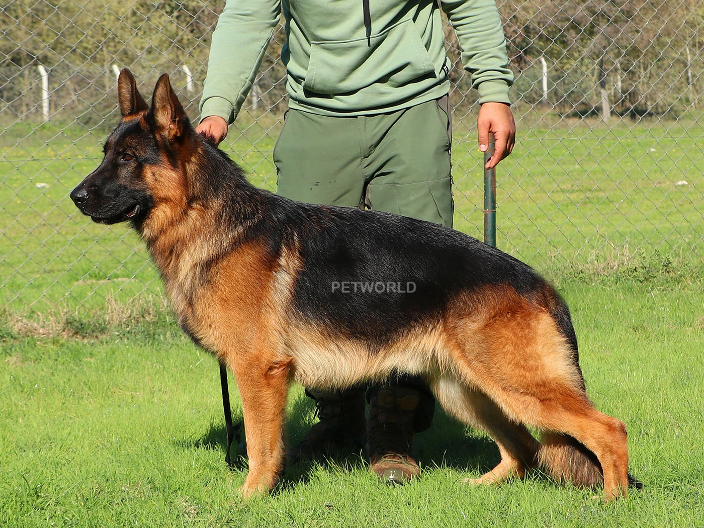 Hegen Elit World gallery 3