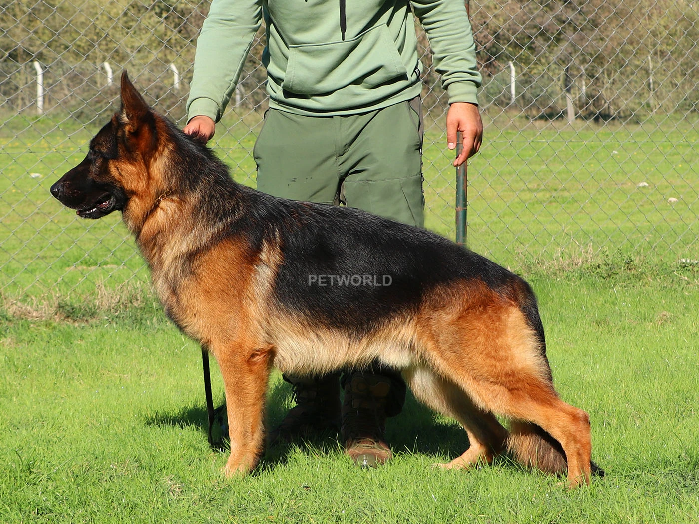 Hegen Elit World gallery 2