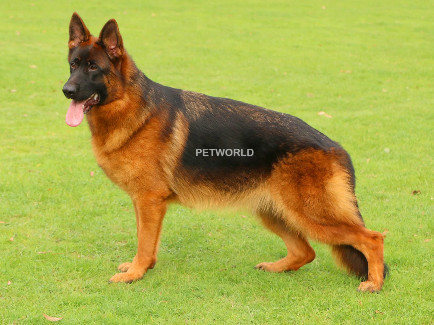 inka Vom Thüringer-Weg