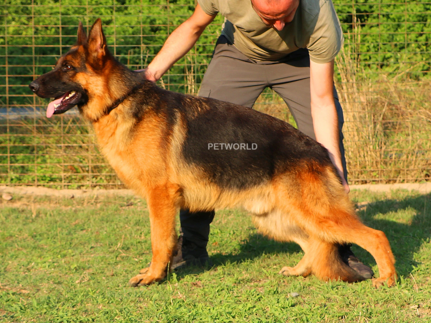 Denger Elite World gallery 4