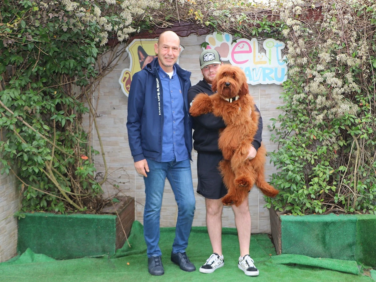 Çalışkan Ailesi, Eğitimlerini Tamamlayan F1B Labradoodle Yavrularını Teslim Alarak Yeni Patili Üyeleriyle Buluşmanın Heyecanını Yaşadı