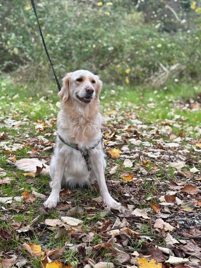 Yeni Pansiyonerimiz:Mia