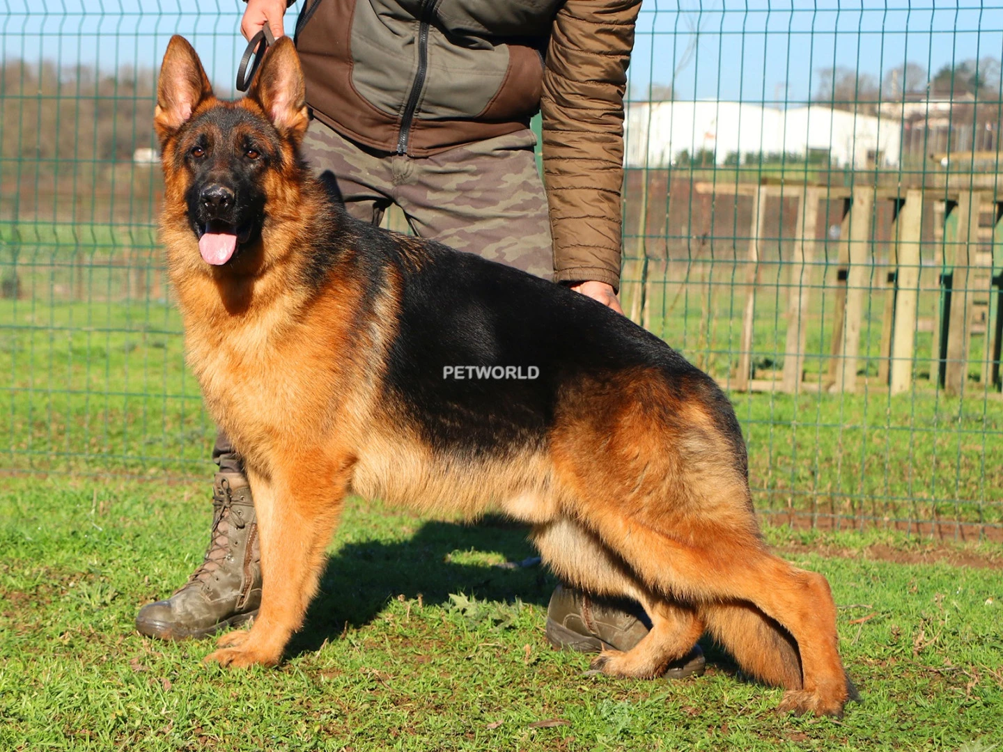 Denger Elite World gallery 1