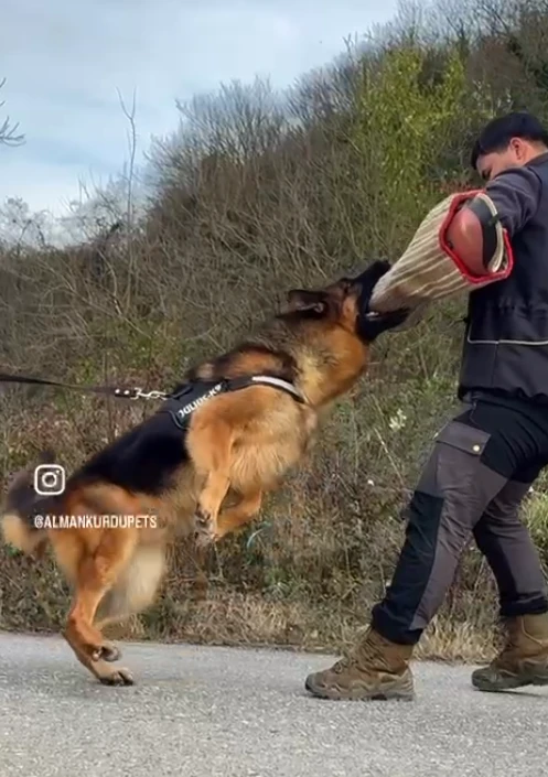 Denger Elite World gallery video 1