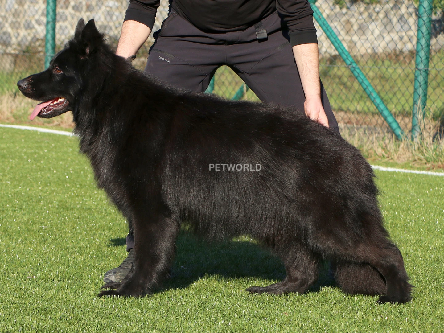 Darky Von Petworld gallery 5