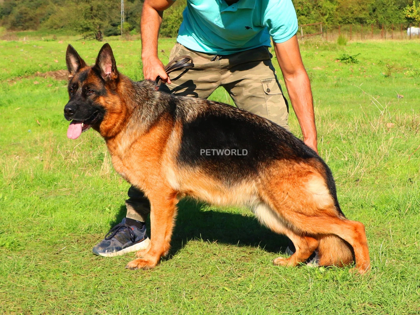 Xaya vom Externstein