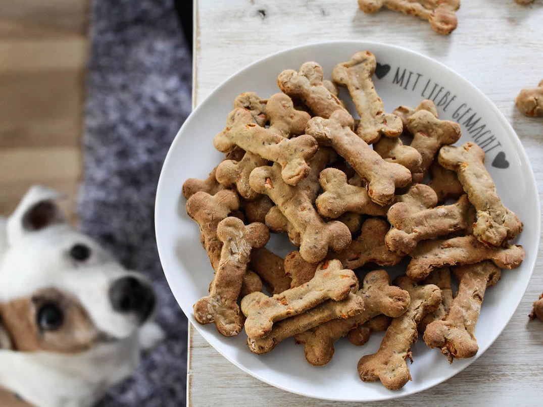Köpekler İçin Ödül Maması Nedir? Ne İşe Yarar?