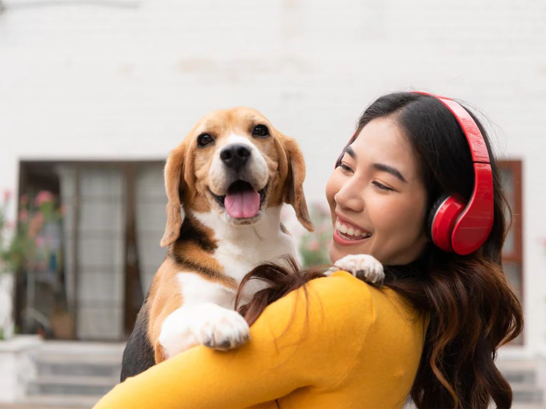 Köpekler Ne Zaman Kısırlaştırılmalı?