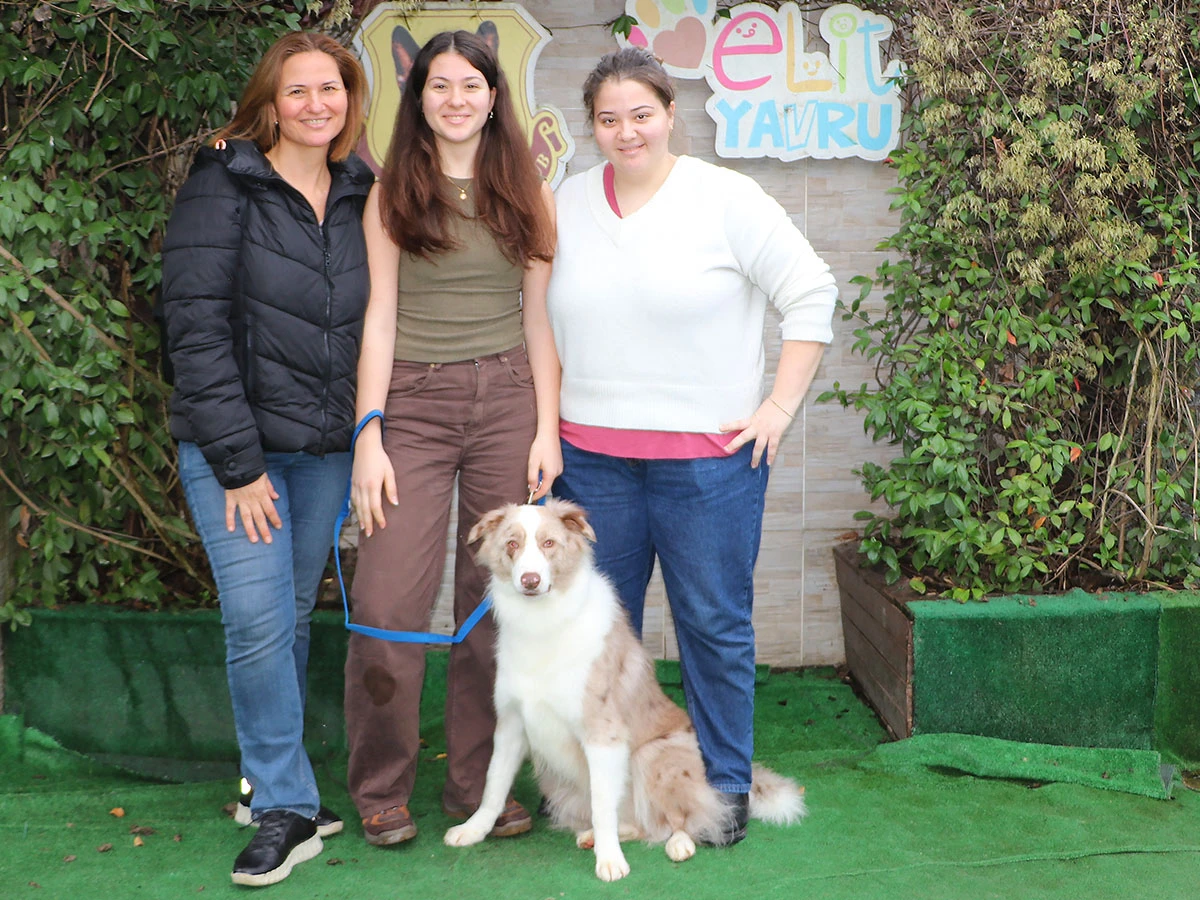 Karakaya Ailesi’nin Merle Border Collie’si Troy Eğitimini Tamamladı
