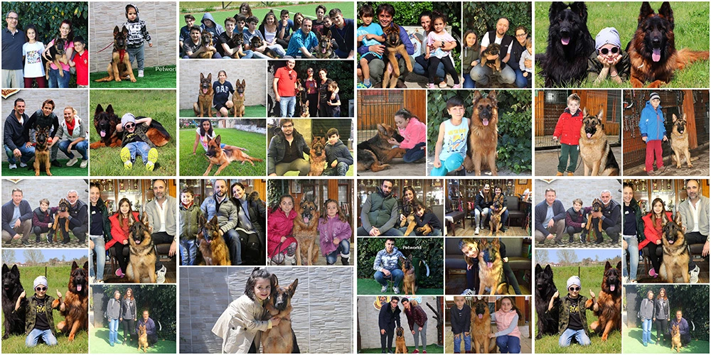 23 Nisan Çocuk Bayramı'nda haydi herkes Petworld'e