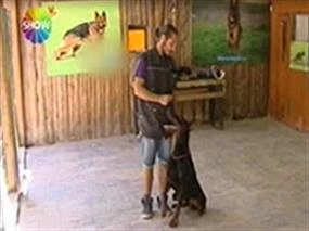 Show tv Pazar Sürprizinde Doberman eğitimini anlattık