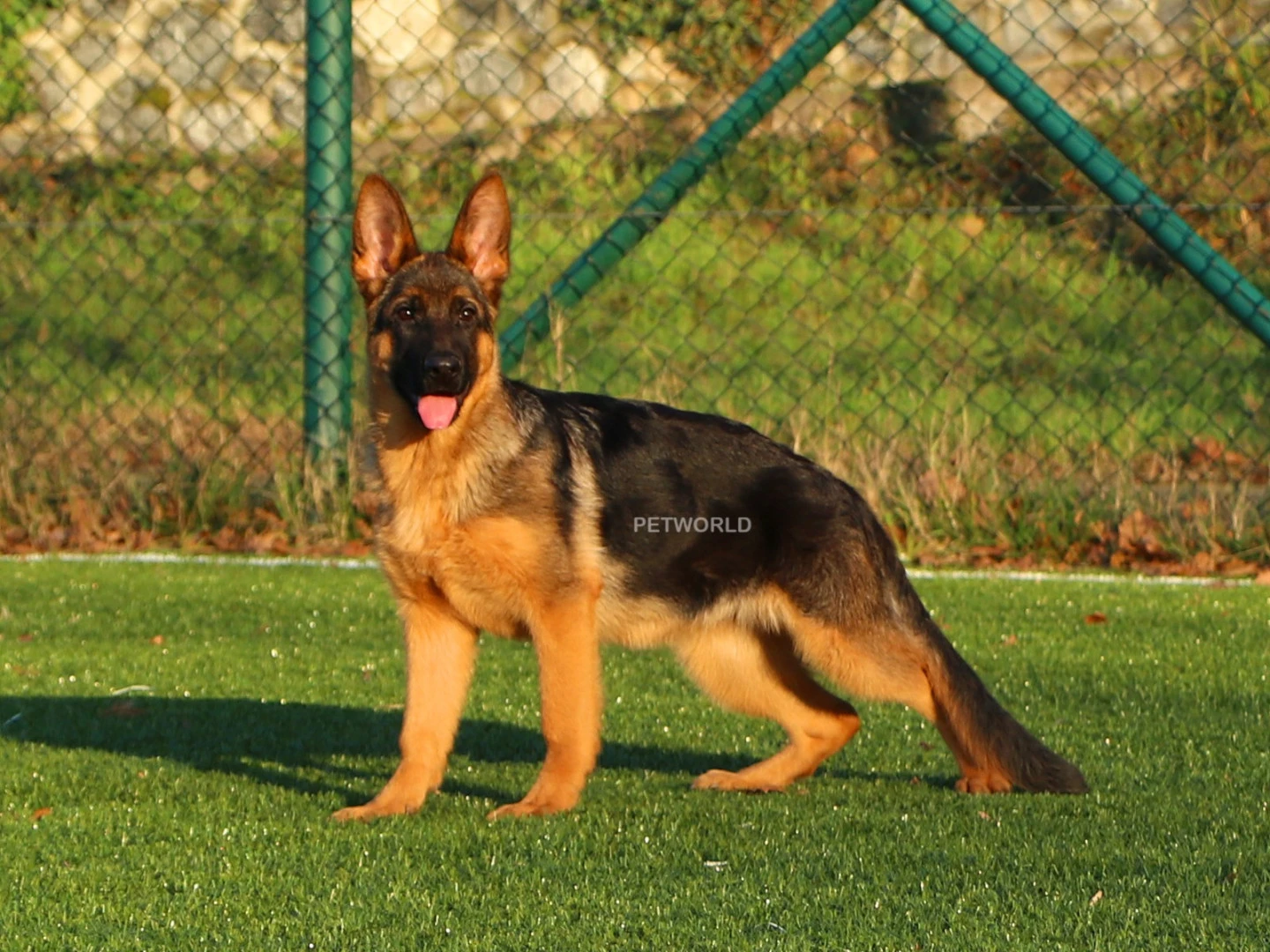 Sert karakteri ile dikkat çeken Maya