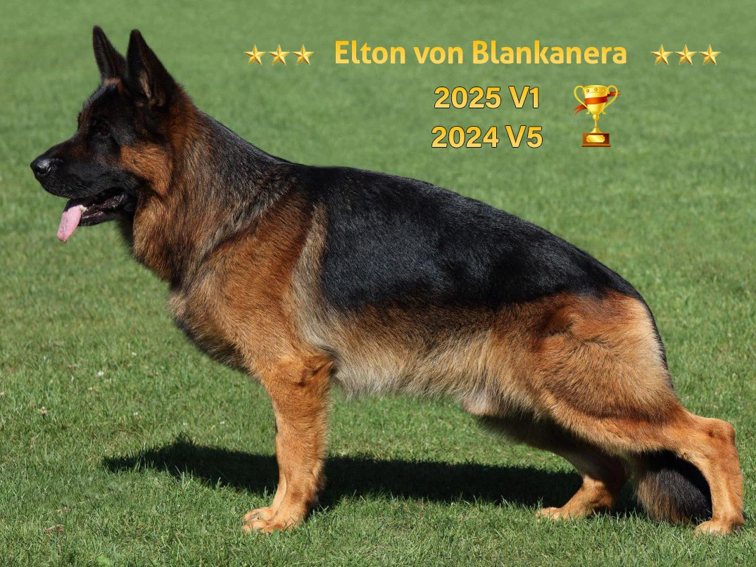 2024 yılı dünya şampiyonasında V5 olan Elton von Blankanera İle yaptığımız eşleşme