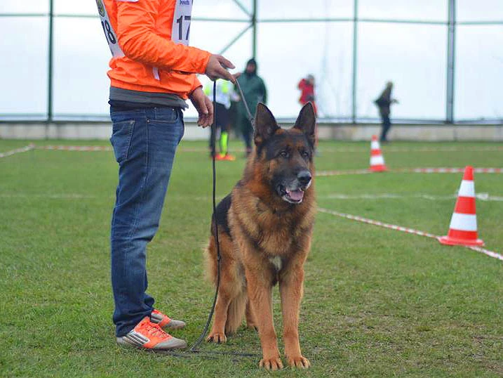 Milton yine zirvede