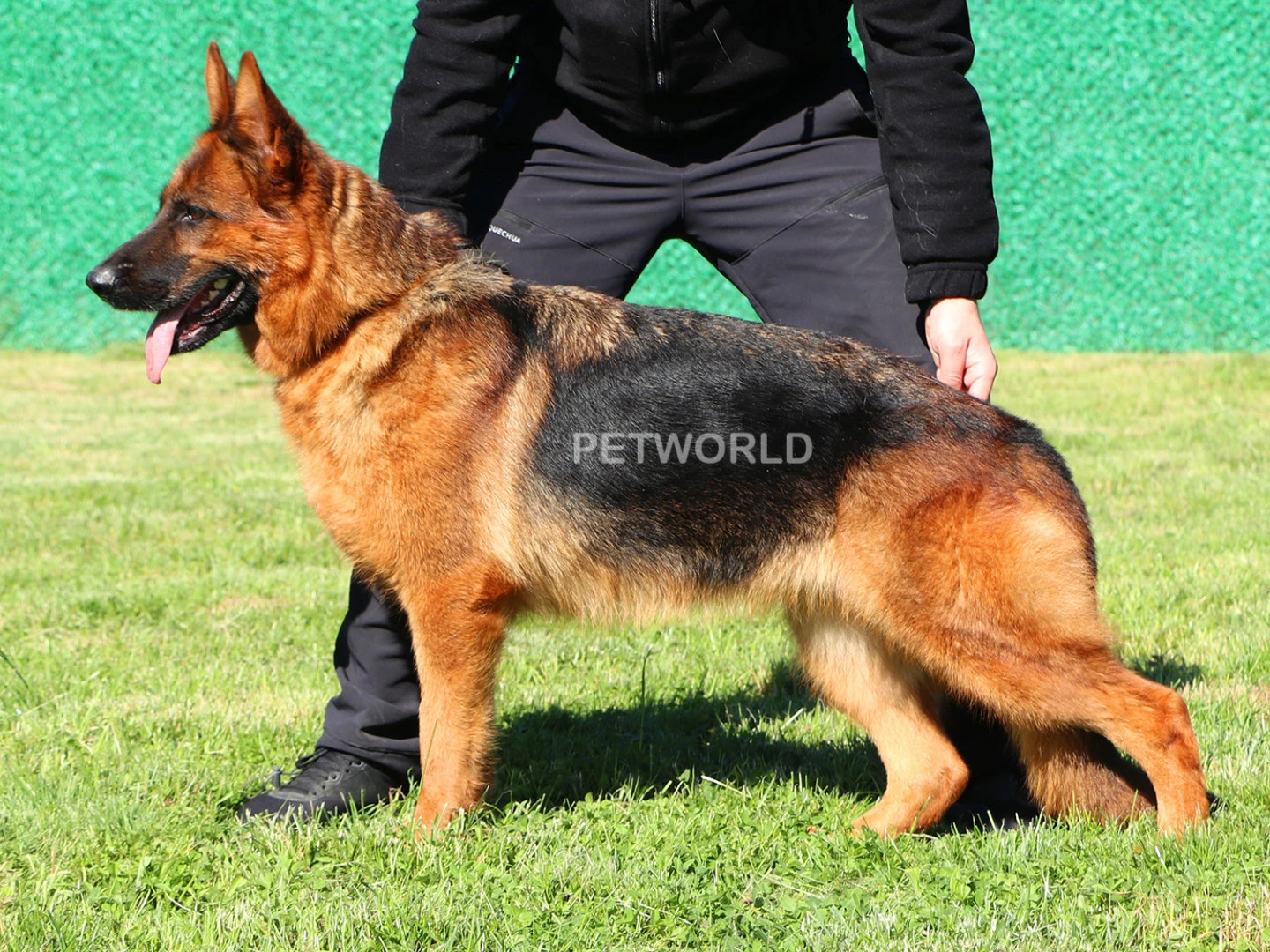 Beatrice Elite World(6692) gallery 1