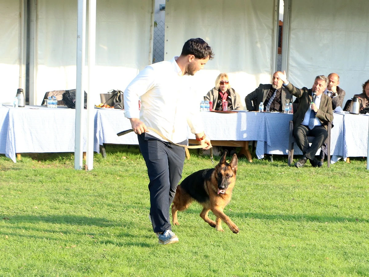 Elit Yavru Zada (1546) gallery 15