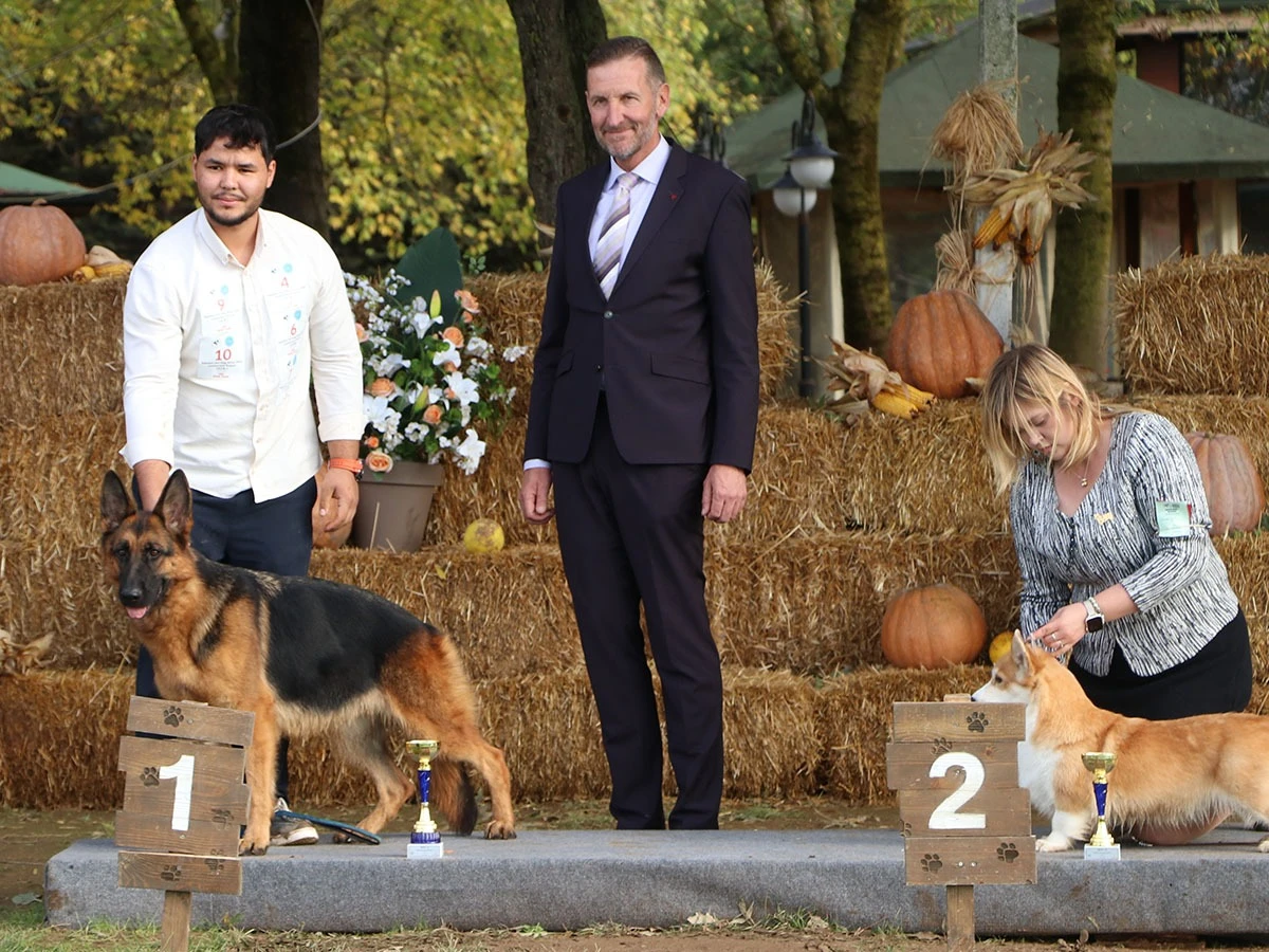 Elit Yavru Zada (1546) gallery 14