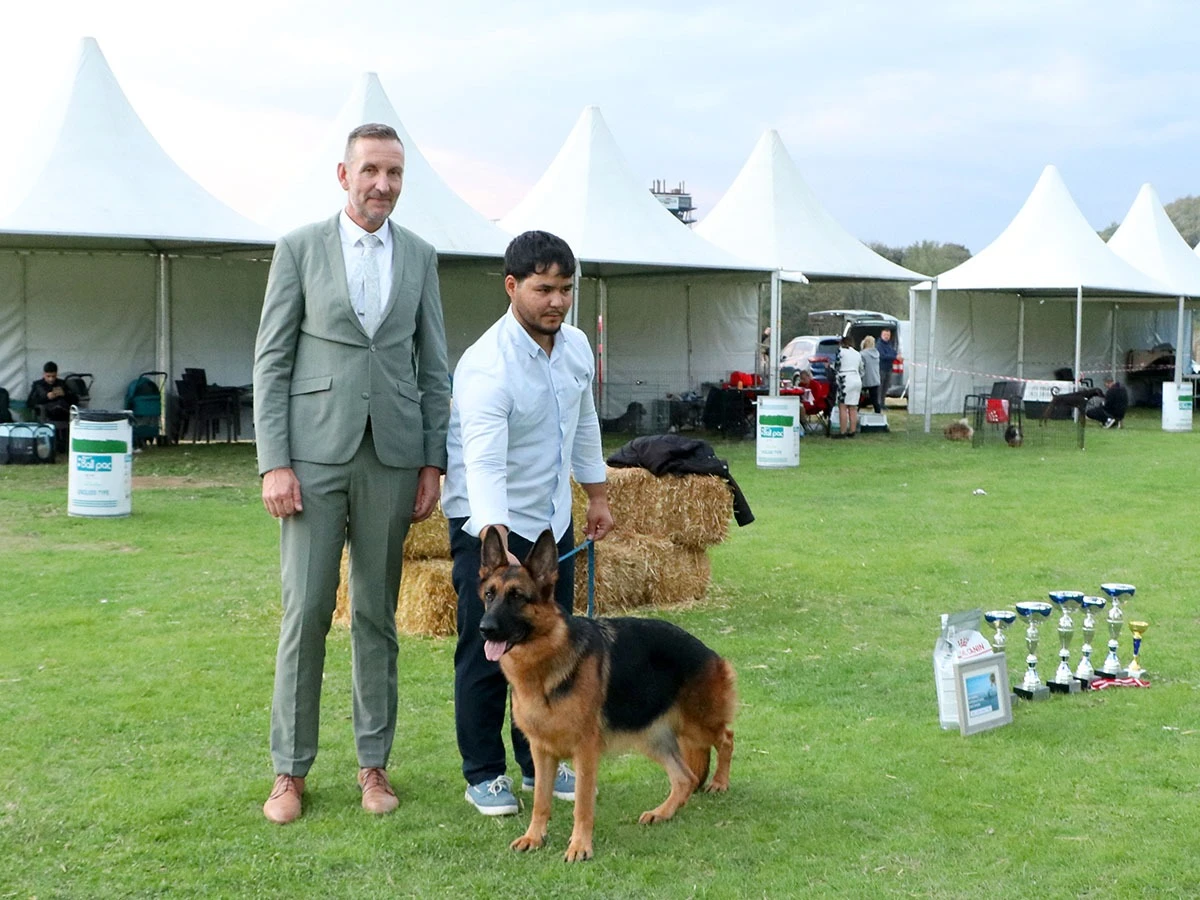 Elit Yavru Zada (1546) gallery 16