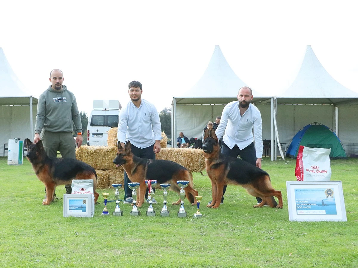 Elit Yavru Parker gallery 2