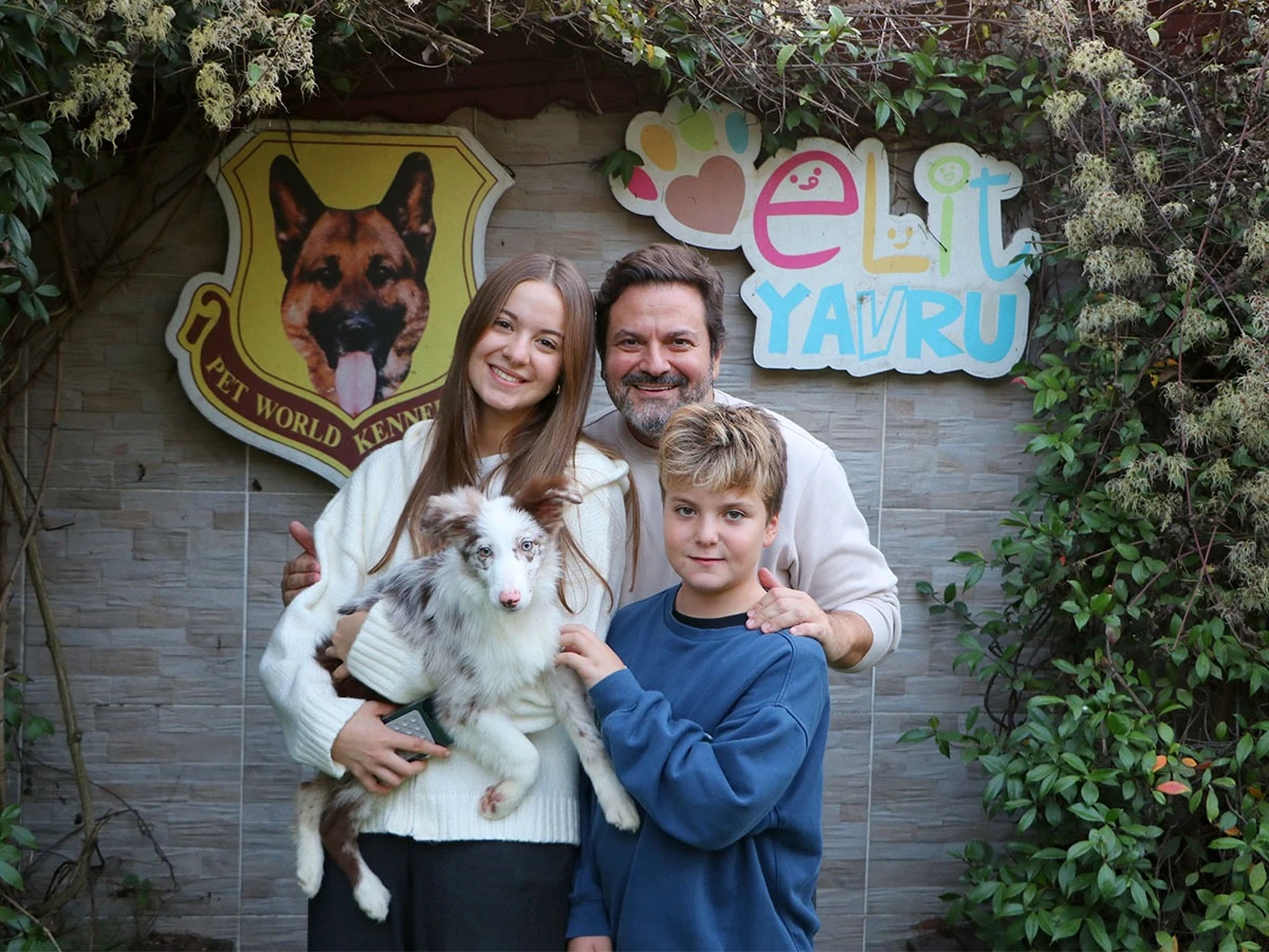 Merle Renk Border Collie Yavrusu Şimşek Ailesinin Yeni Dostu Oldu