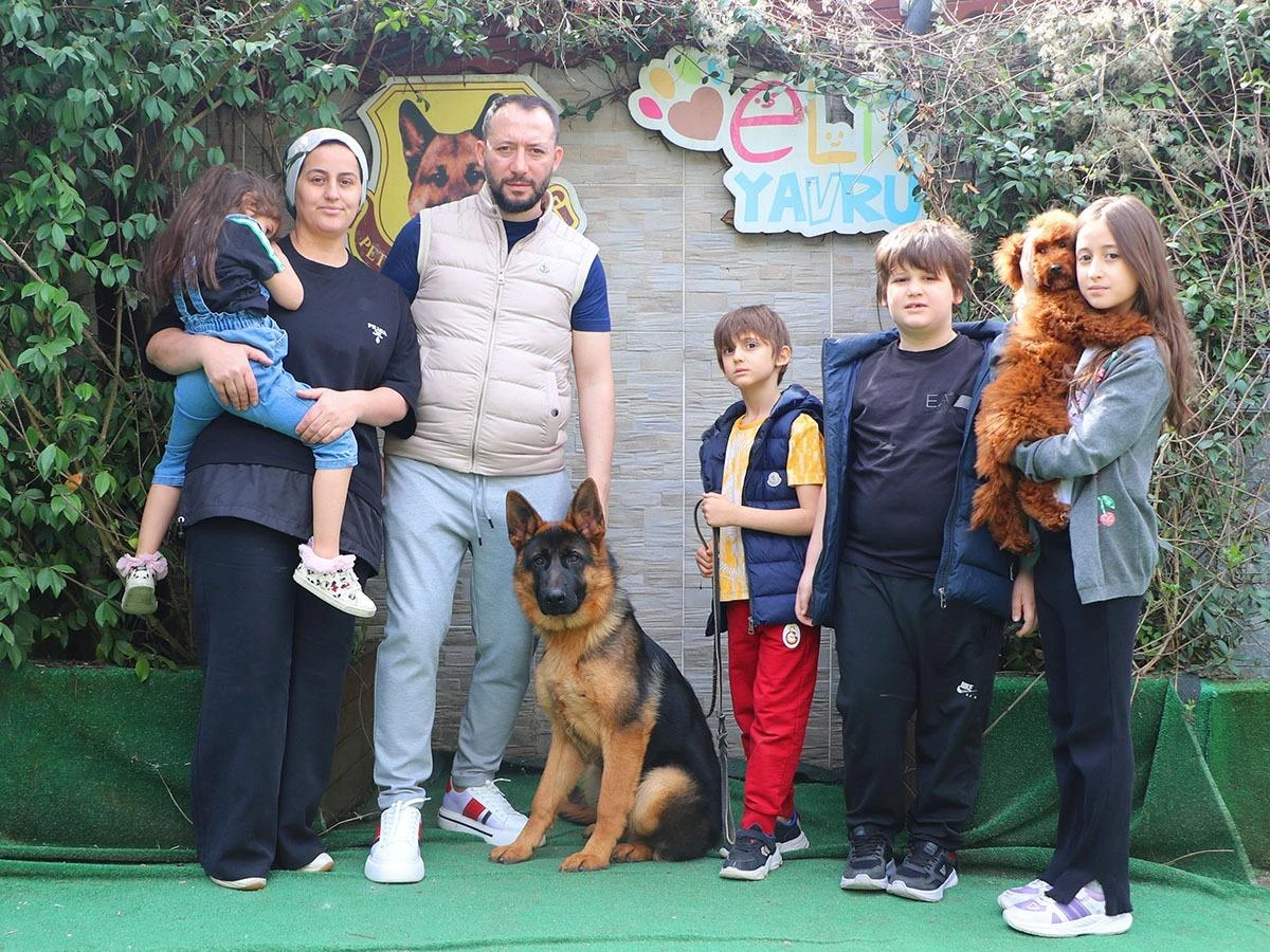 Öğütçü Ailesi’nin Yeni Üyesi  Alman Çoban Yavrusu Pascall