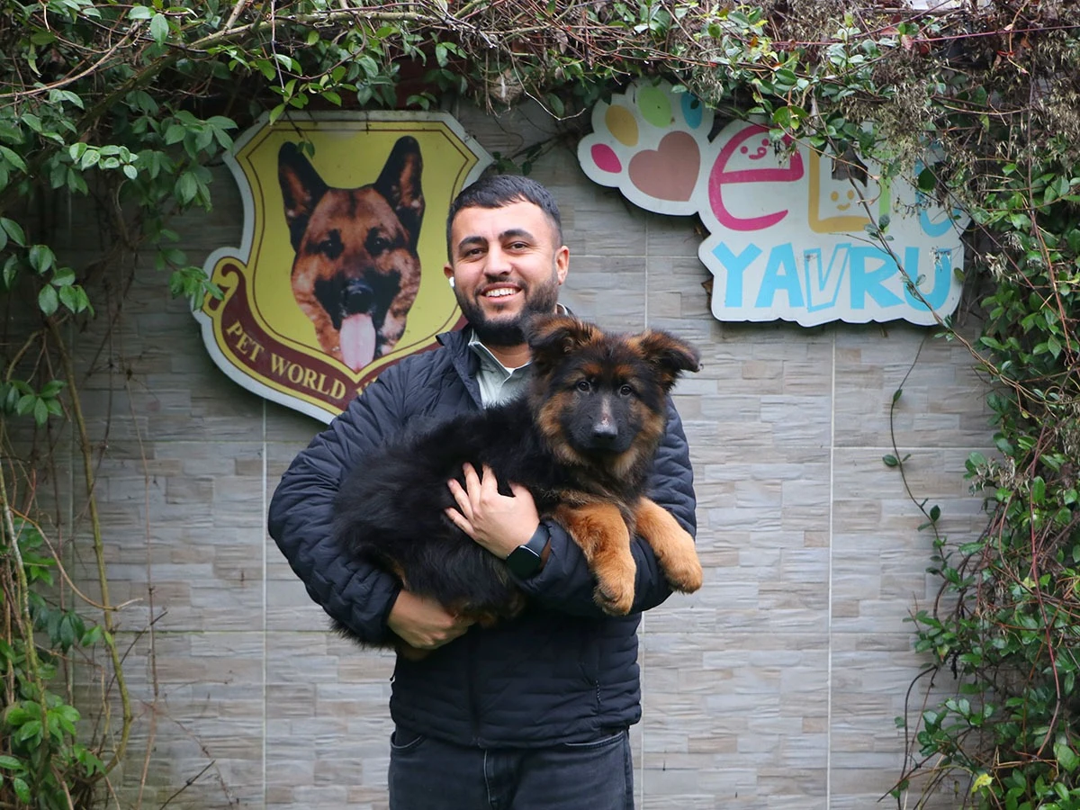 Sevgili Caner Bey Uzun Tüylü Alman Çoban Yavrusuna Kavuştu
