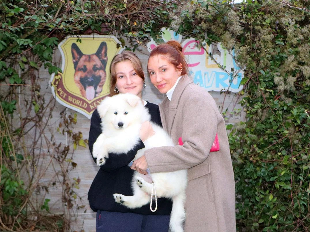 Fırat Ailesi, Elit Yavru Petworld Çifliğimizden Sahiplendikleri  Beyaz Alman Çoban Yavrularına kavuştular