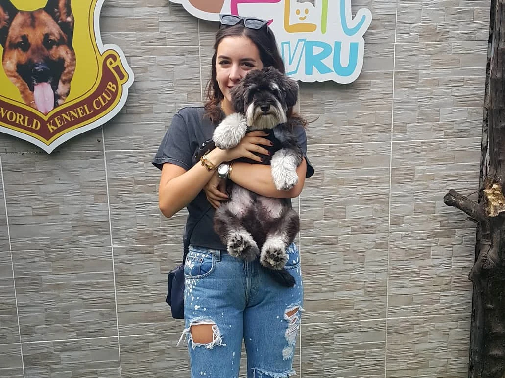 Dila Hanım'ın Schnauzer dostu pansiyon müdavimlerimizden