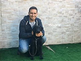 Labrador Zuma, Temel İtaat Eğitimini başarıyla tamamladı