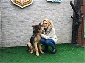 Alman Çoban Köpeği Yetiş, eğitimlerini başarıyla tamamladı