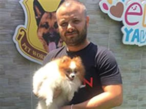 Pomeranian Cadı temel itaat eğitimini başarıyla tamamladı