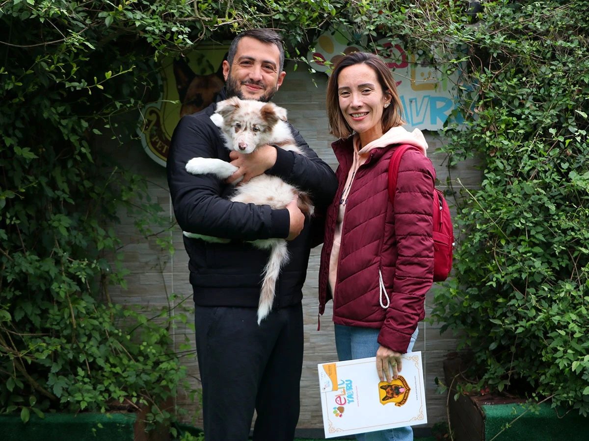 Hasan Bey Hayalini Kurduğu Border Collie’ye Nihayet Kavuştu