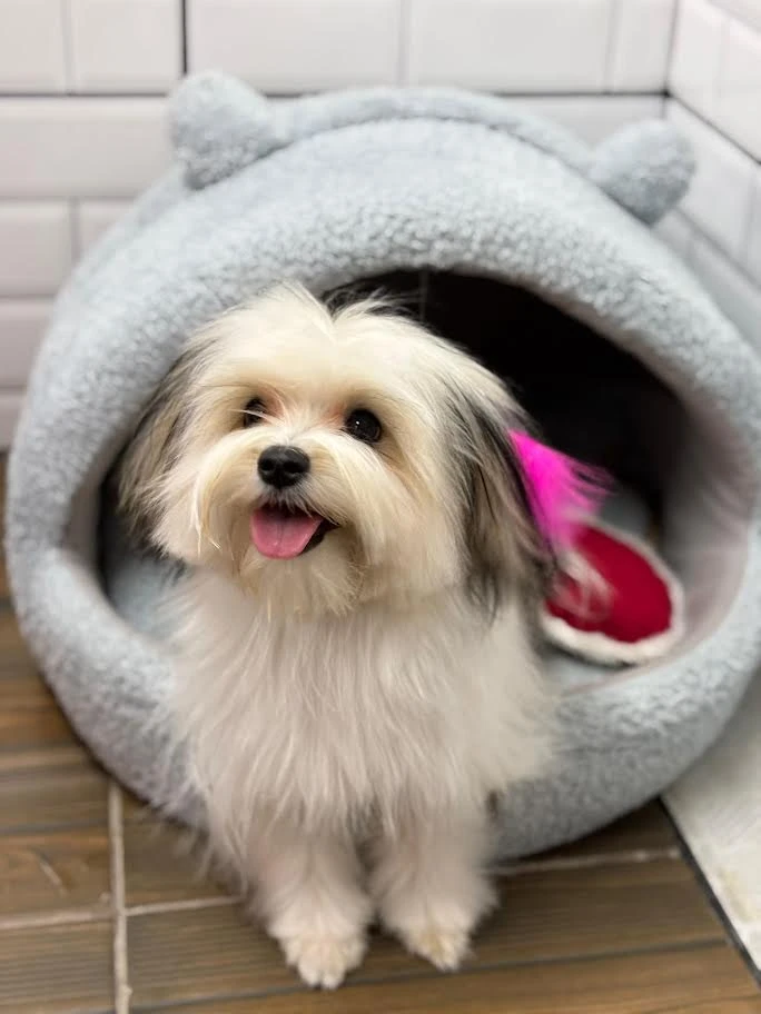 Lady’nin İlk Otel Deneyimi