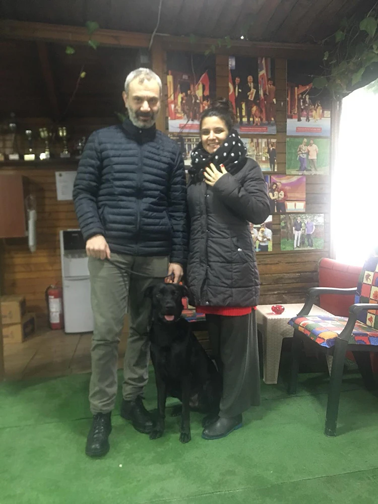 Labrador Retriever Apple, eğitimini tamamladı