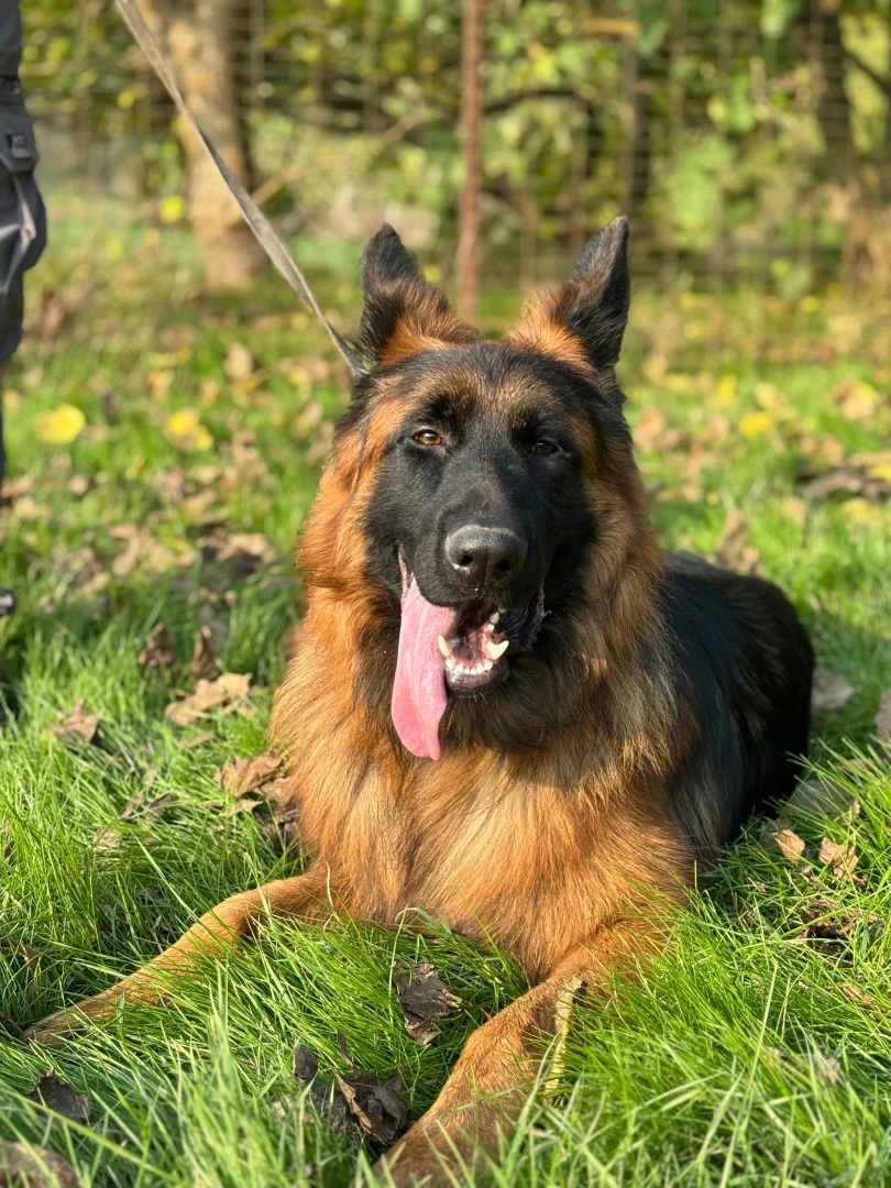 Leo Yeniden Otelimizde Konaklıyor