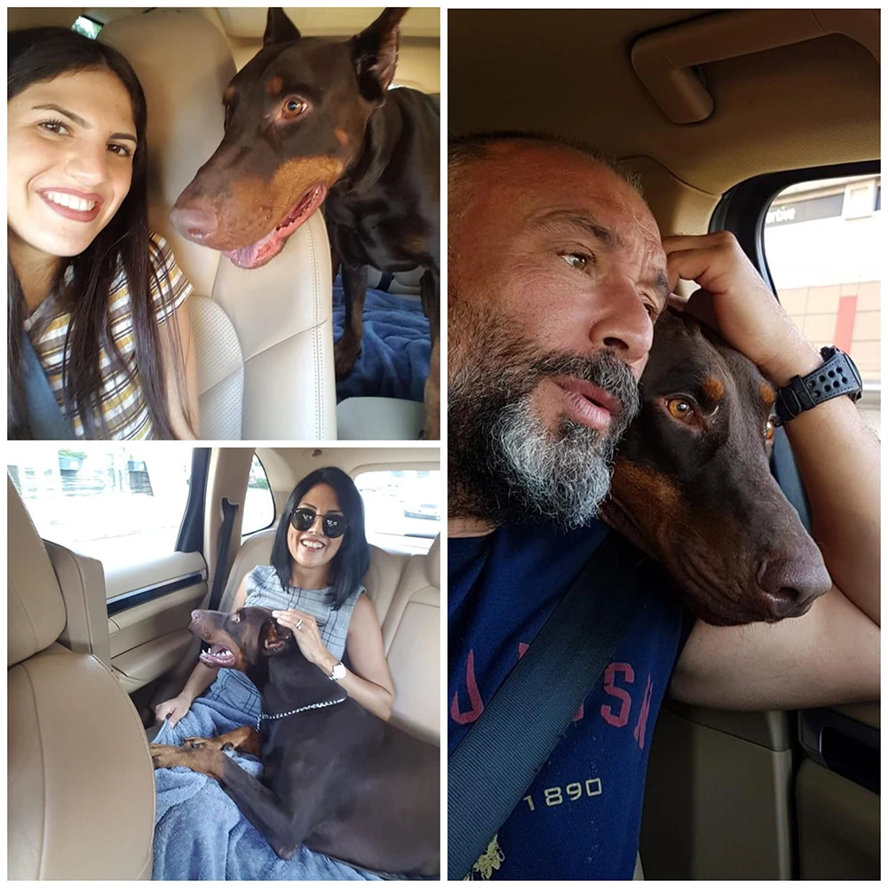 Antalya'dan Dikmen Ailesi ve Doberman dostları
