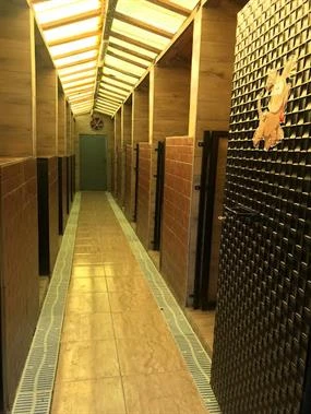 Elit Yavru&Petworld Pet Otel