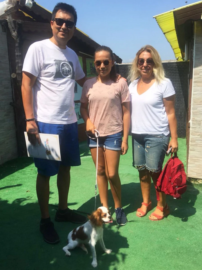 Cavalier Latte, temel itaat eğitimini başarıyla tamamladı