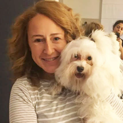 Yeni pansiyonerimiz Maltese Terrier cinsi Köpük