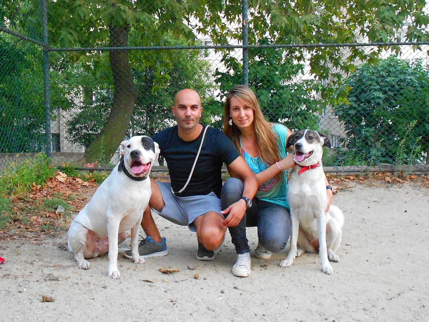 Nokta ve Şans köpek pansiyonundan mutlu ayrıldı