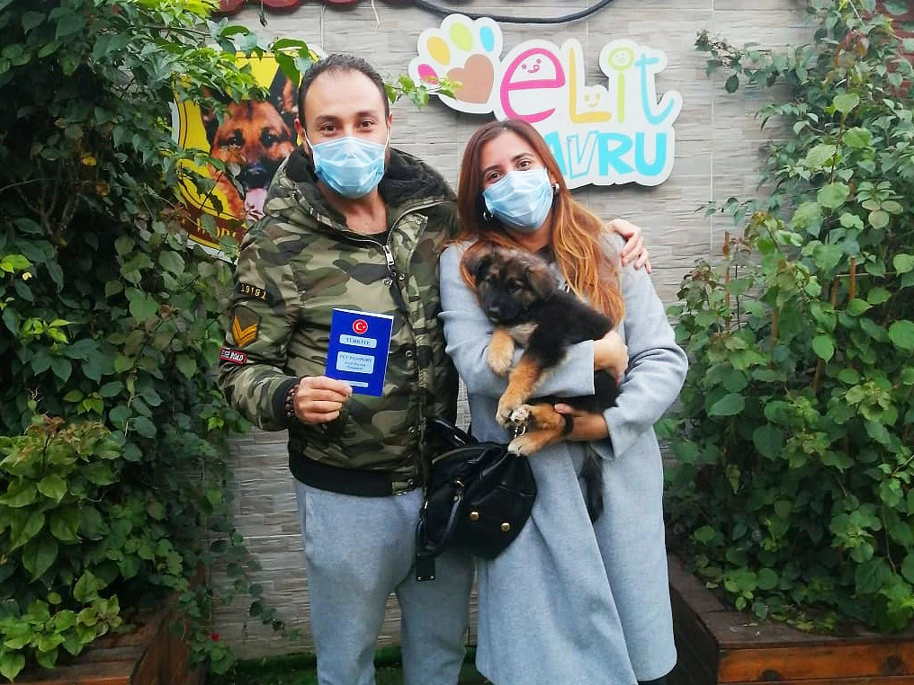 Alaybaşı ailesi yavrularına kavuştular