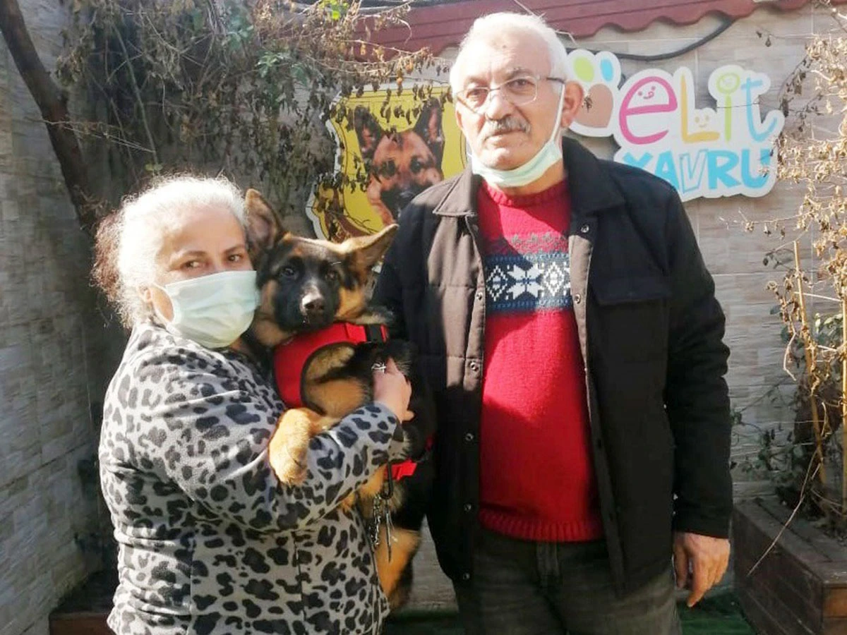 Alıcı ailesi yavrularına kavuştular