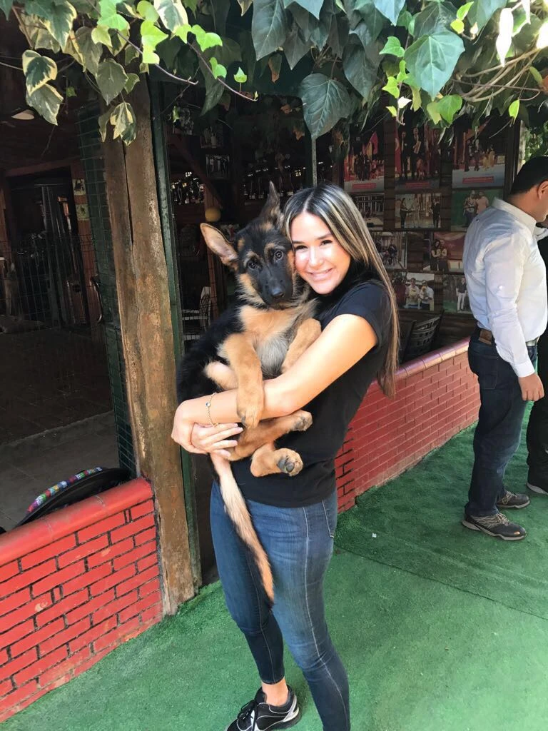 Antalya'dan Gökçe Hanım, Jack yavrusu Orland'a kavuştu