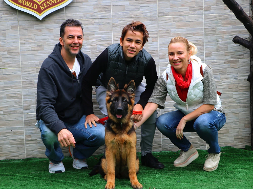 Pamir Bey ve ailesi, Alman Çoban Köpeği yavrularına kavuştu