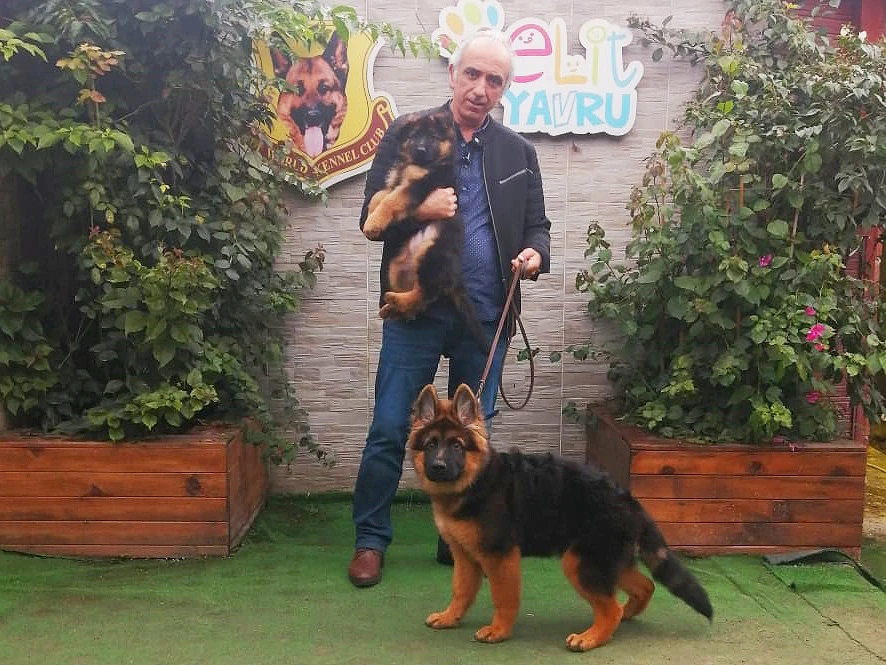 Bekir Bey yavrularına kavuştu