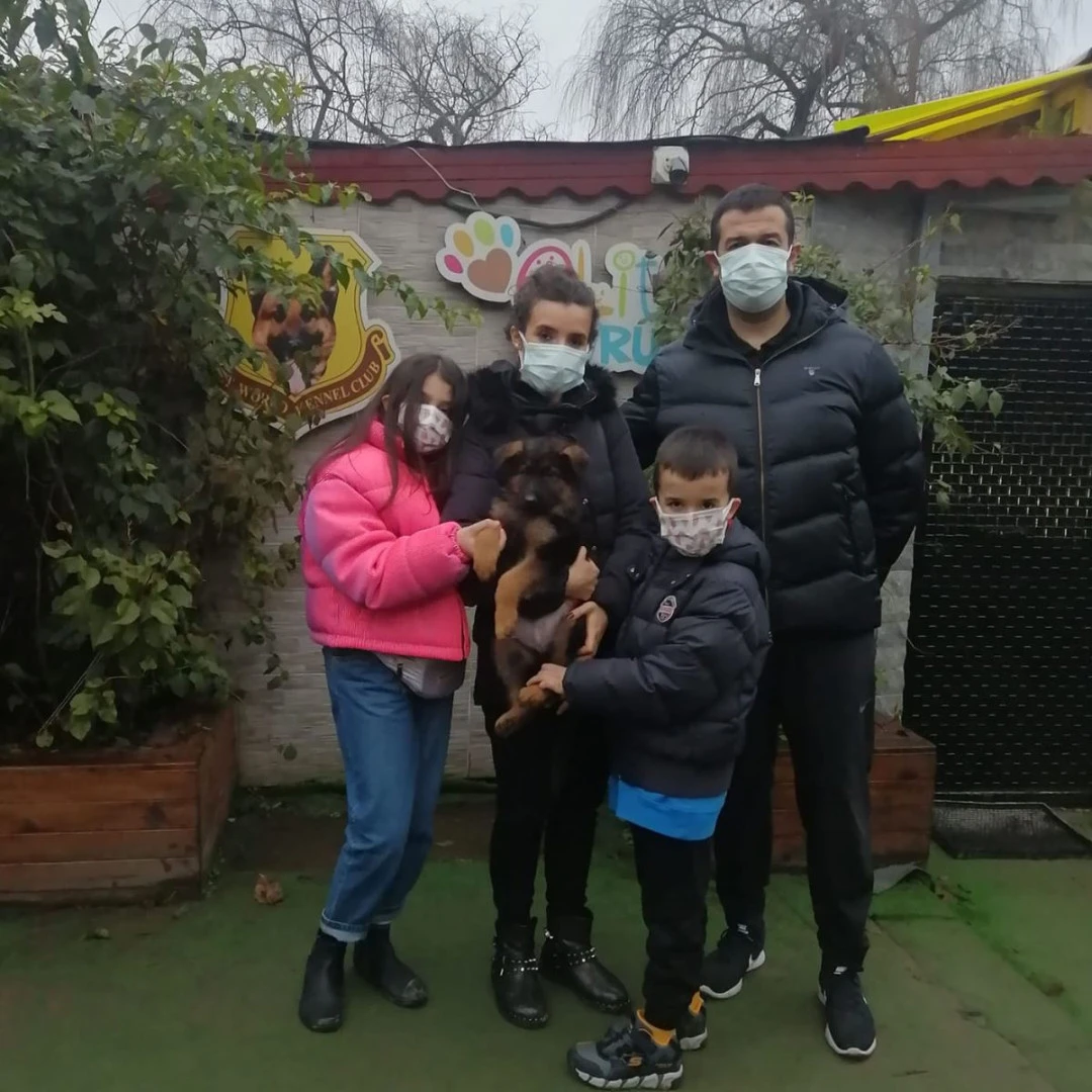 Gökhan Bey çocukları için Alman Kurdu sahiplendi