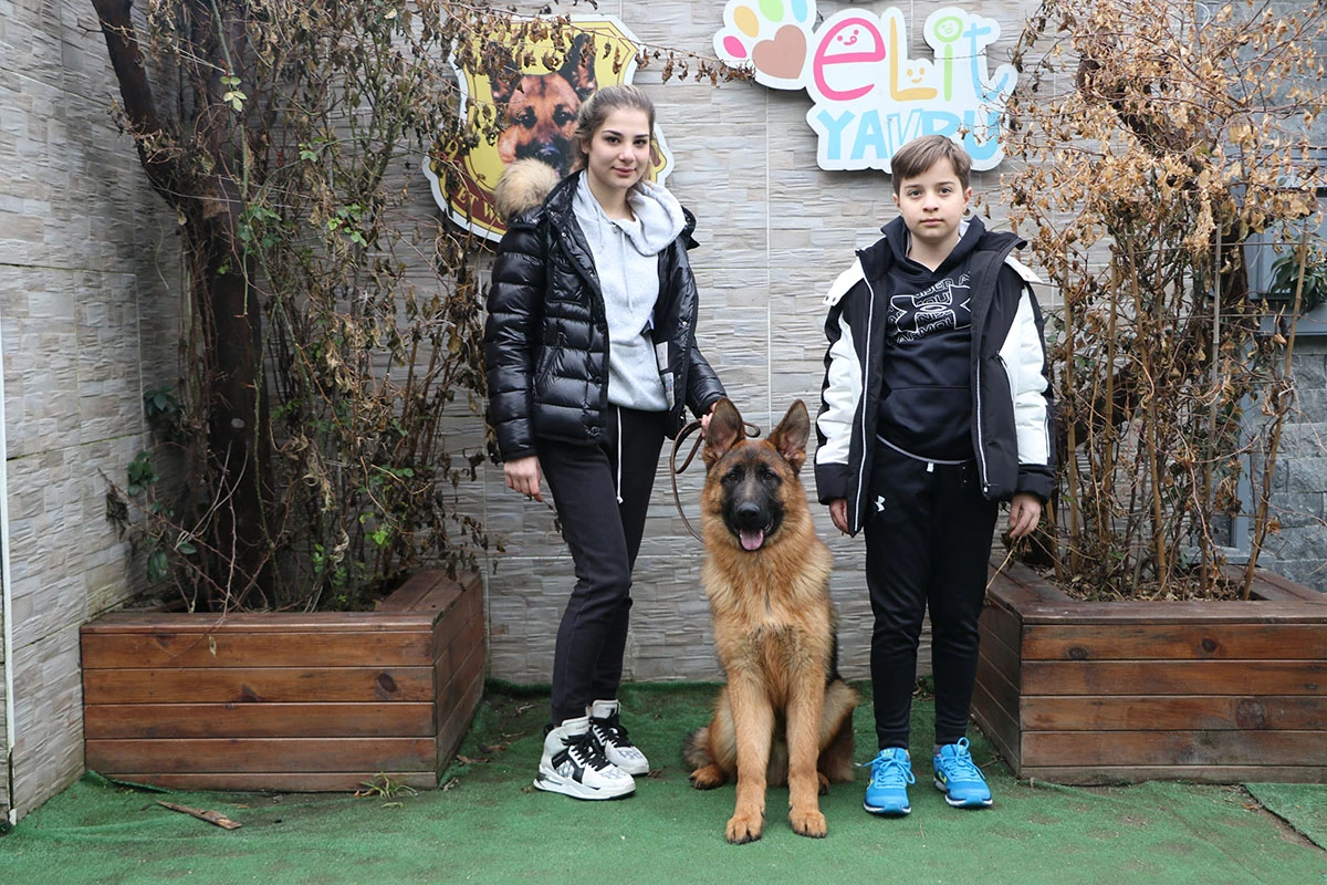 Önlek ailesi yavruları Kenzo 'ya kavuştular