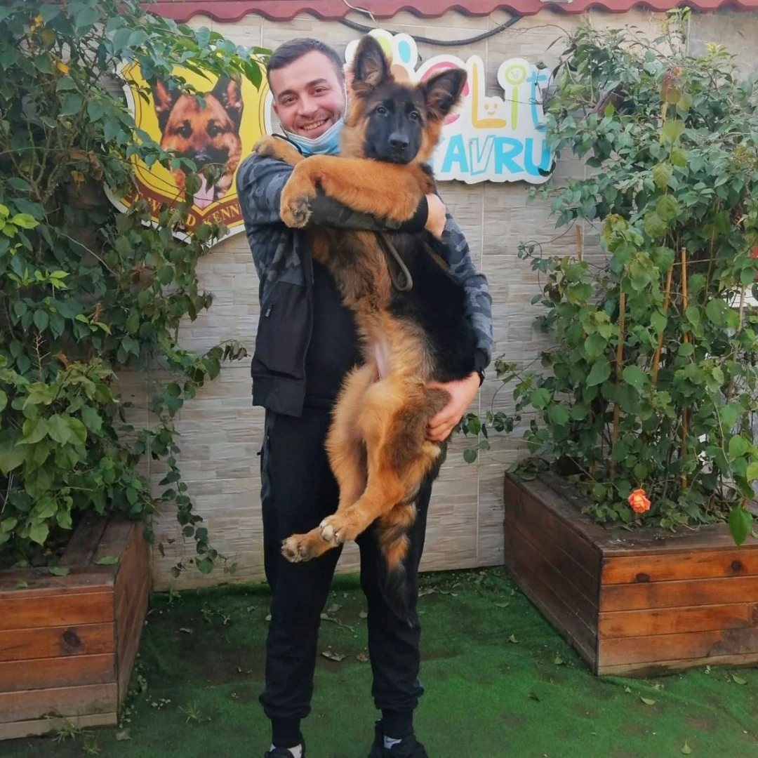 Paşa Bey Şiva ile çok mutlu