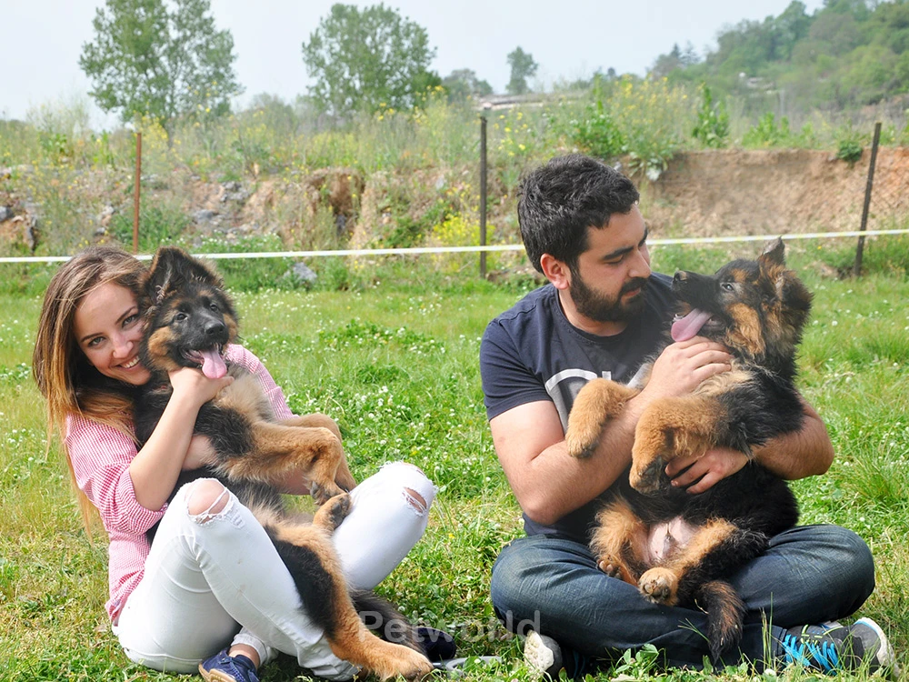 Dört kişilik mutlu aile