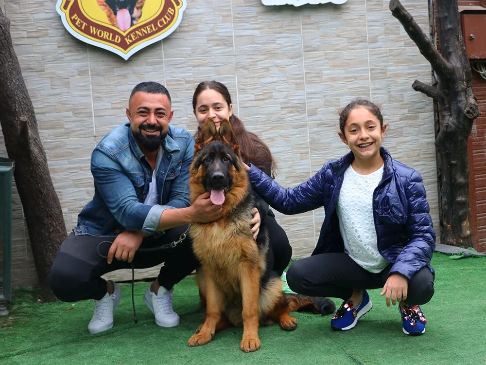 Serkan Bey, Nicholas von Petworld'ün asil yavrusuna sahip oldu